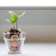 Financial Growth