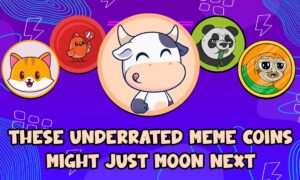 LOFI Sui meme coin