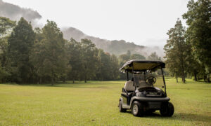 Golfing Experience
