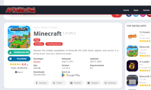 Minecraft Still