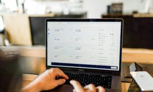 From Startups to Scaleups